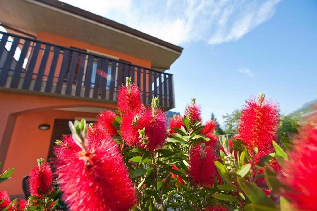 Casa Martinelli Apartment Torbole Sul Garda Екстериор снимка